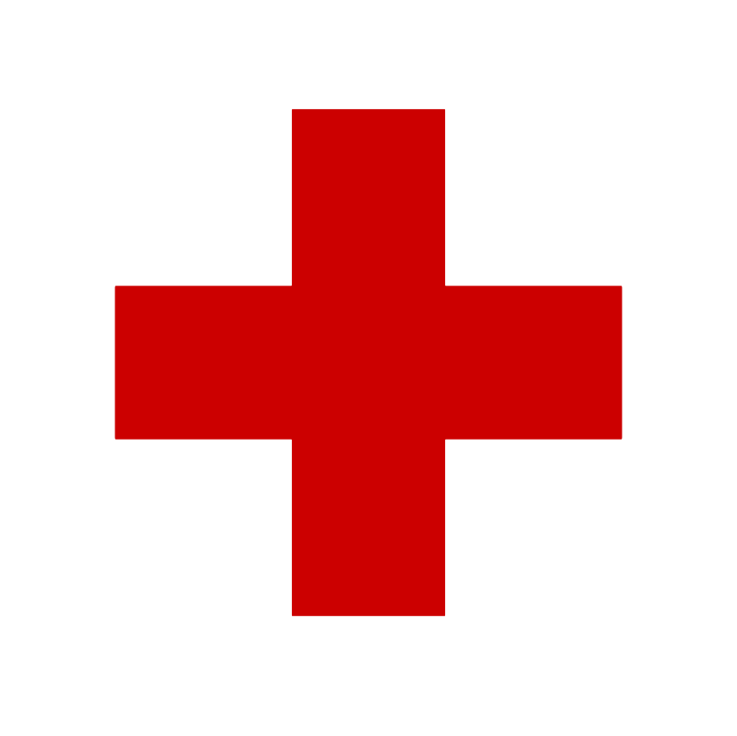 Red cross w border